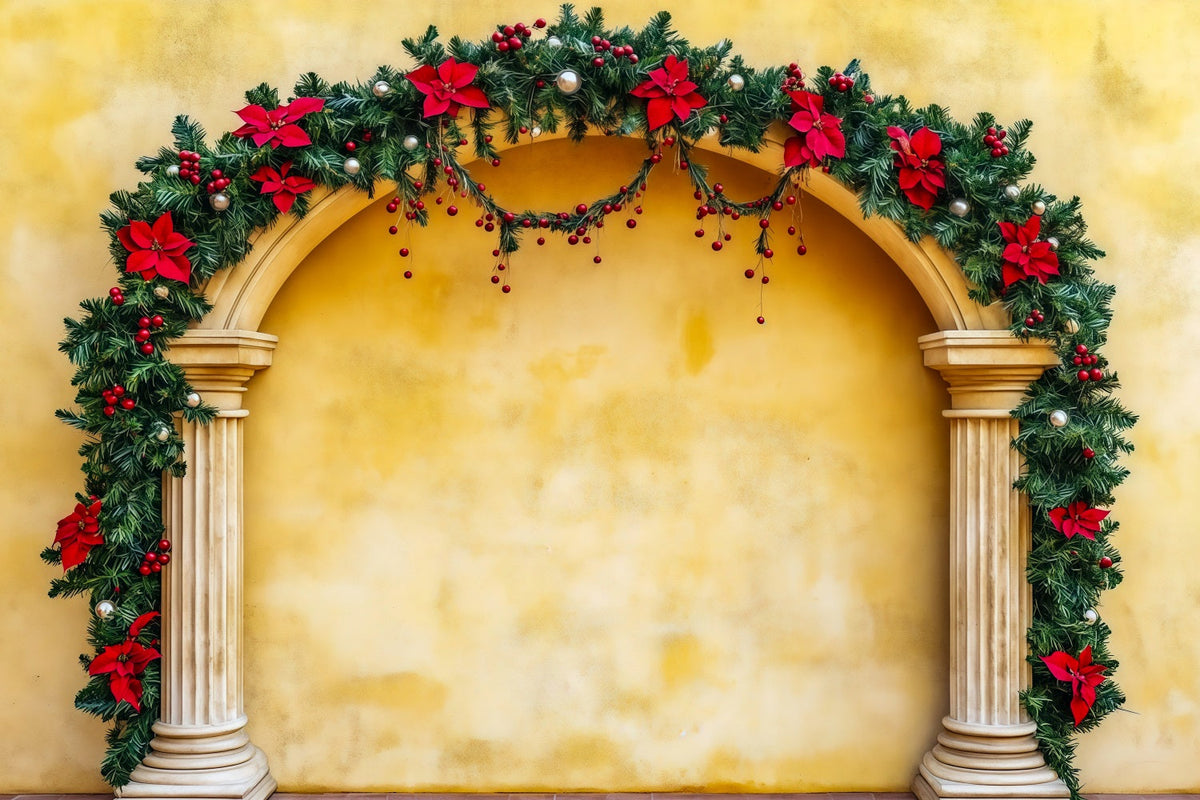 Weihnachtsbogen-Hintergrund Weihnachtsstern-Girlandensäule Weihnachtshintergrund Für Fotografie RR69-106
