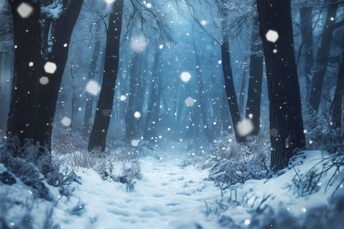 Verschneite Weihnachtskulisse Nebliger Winterwald Weihnachts-Fotohintergründe RR69-66