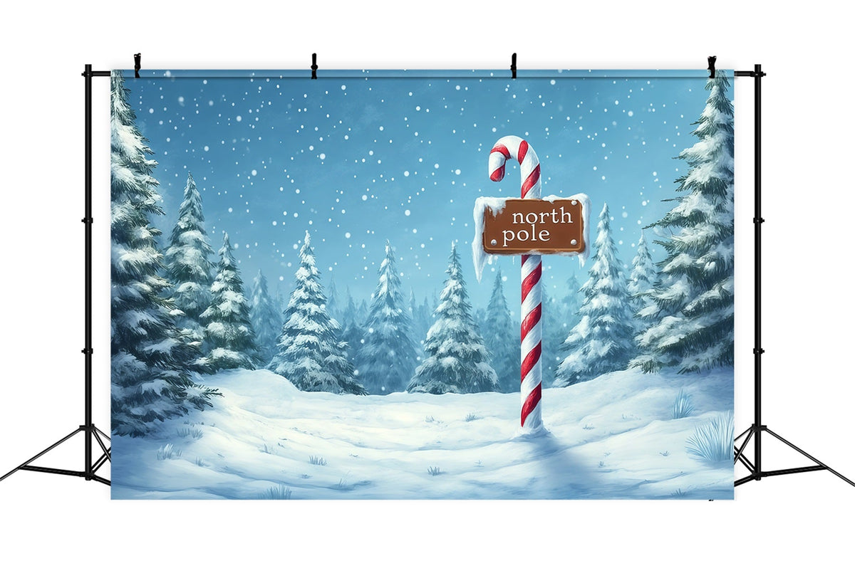 Weihnachtskulisse Nordpol Winterlicher Verschneiter Wald Weihnachtshintergründe RR69-68