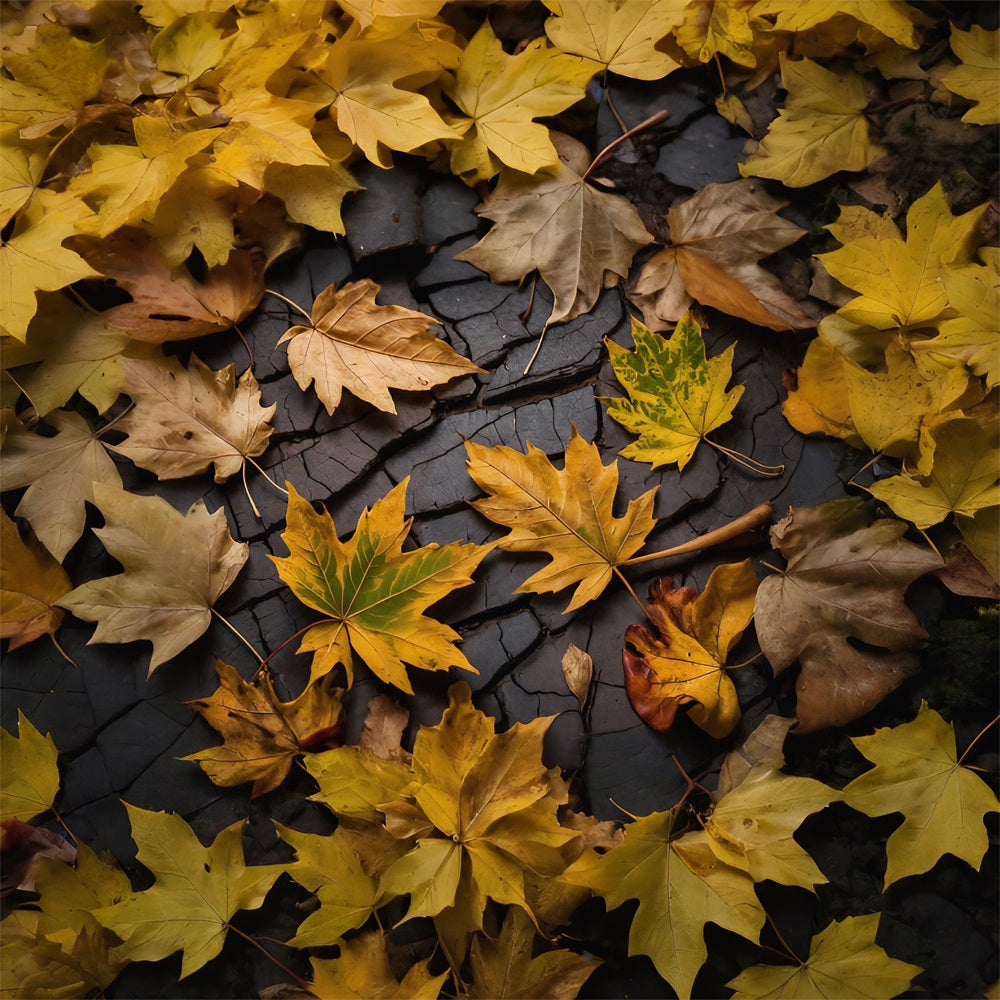 Autumn Leaves On Dark Land Bodenhintergrund RR7-524