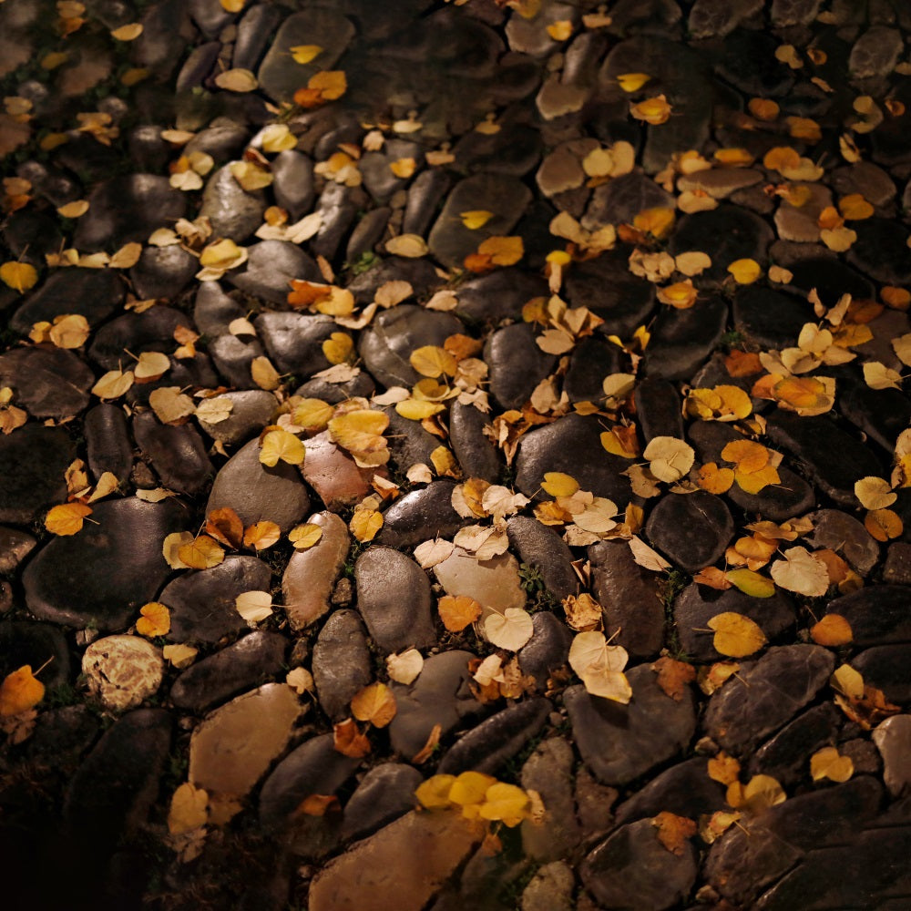 Dim Drop Leaves Pebble Floor Backdrop RR7-527