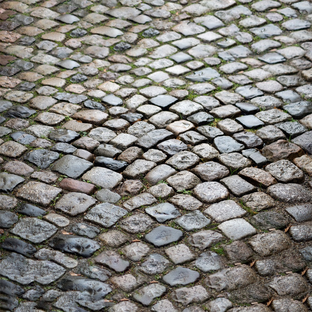 Nass nach Regen Steinboden-Hintergrund RR7-529