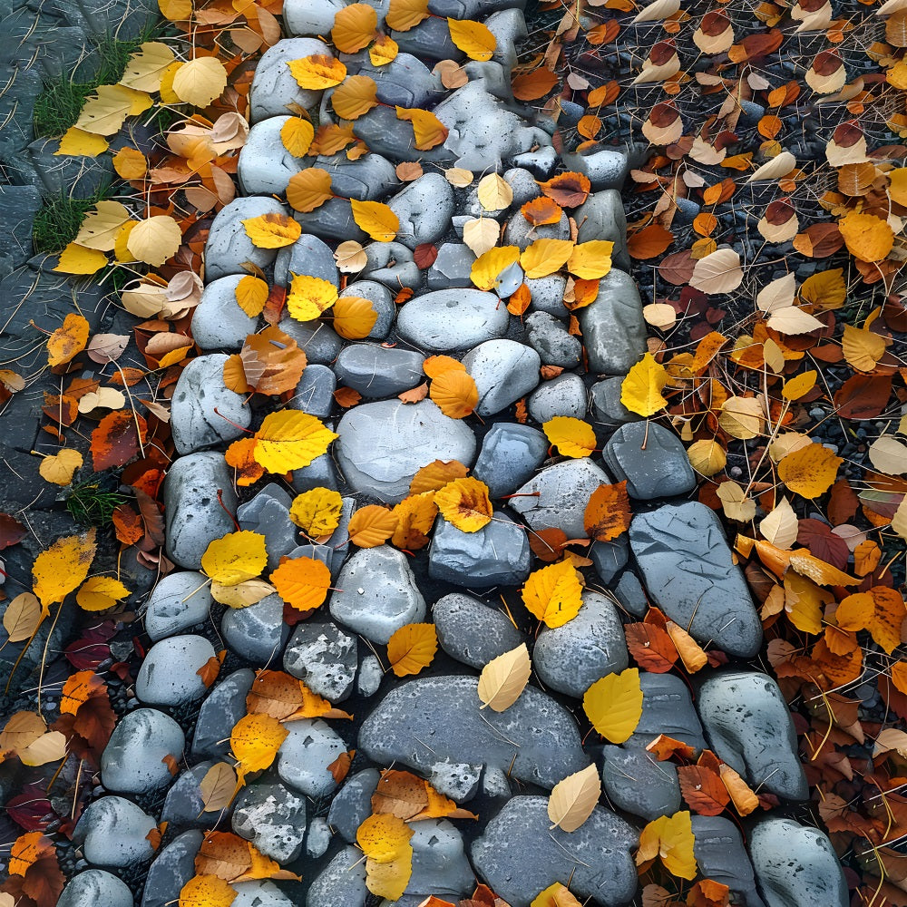 Withered Leaves Cobblestone Trail Bodenhintergrund RR7-536