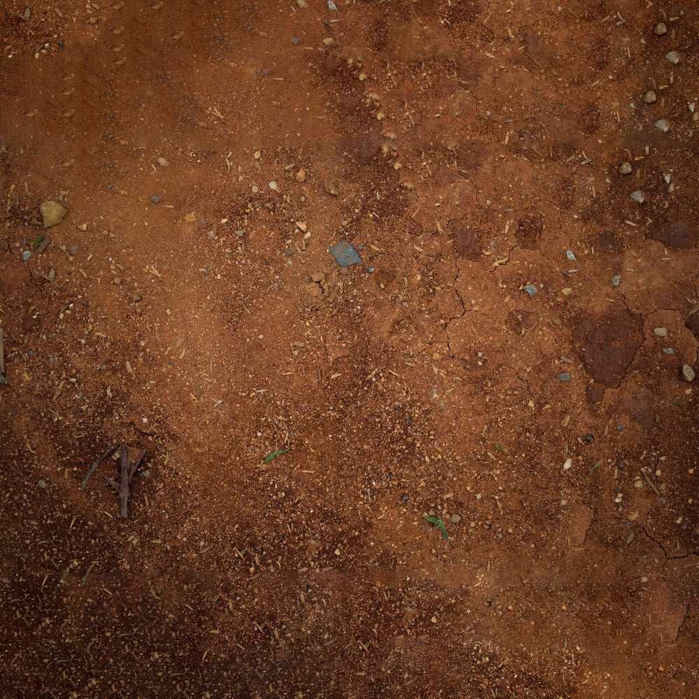 Moist Dirt Gravel Floor Backdrop RR7-538