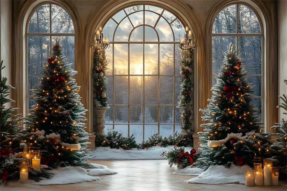 Weihnachtsbäume Fenster verschneiter Wald Backdrop RR8-90