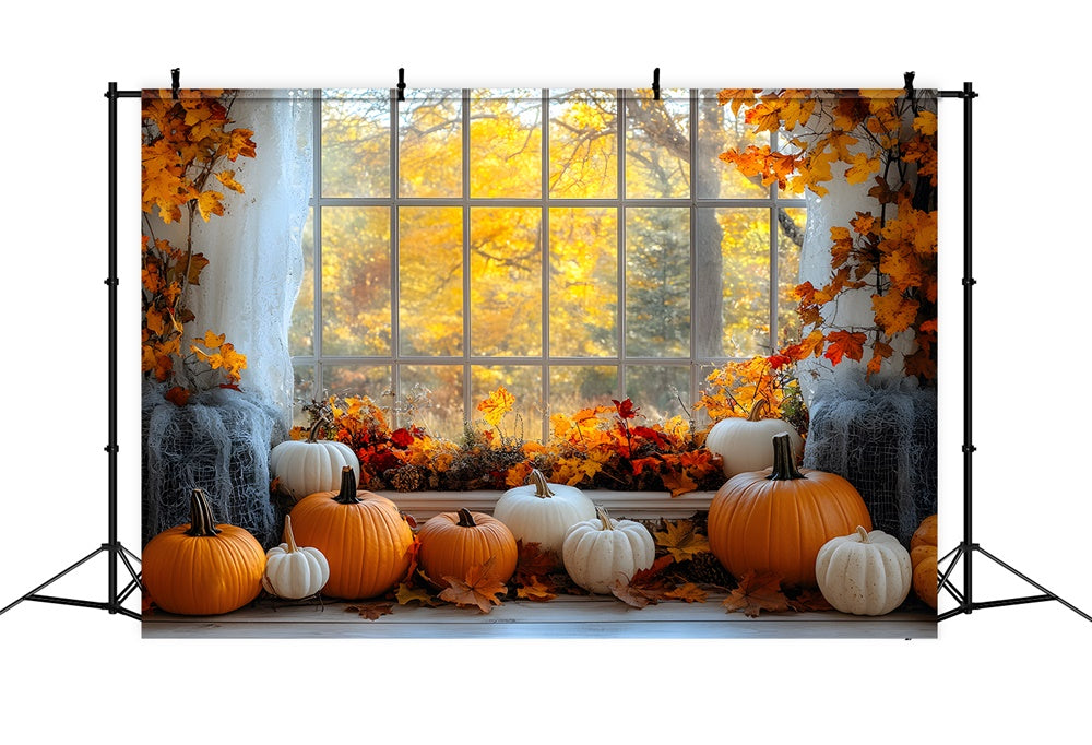Herbst Ahornbäume Fensteransicht Kürbis Hintergrund RR9-27