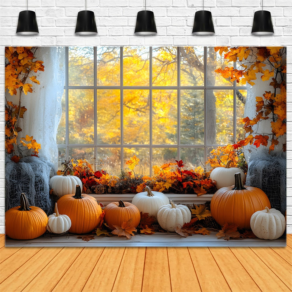 Herbst Ahornbäume Fensteransicht Kürbis Hintergrund RR9-27
