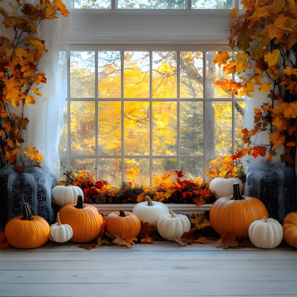Herbst Ahornbäume Fensteransicht Kürbis Hintergrund RR9-27