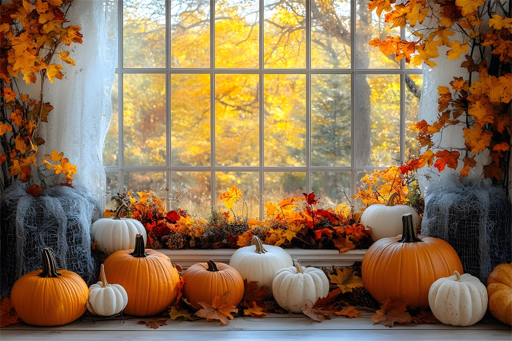 Herbst Ahornbäume Fensteransicht Kürbis Hintergrund RR9-27