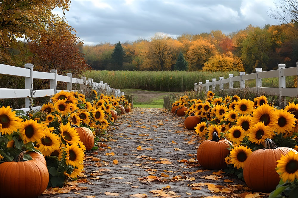 Herbst-Sonnenblumen-Kürbisweg-Wald-Kulisse RR9-38