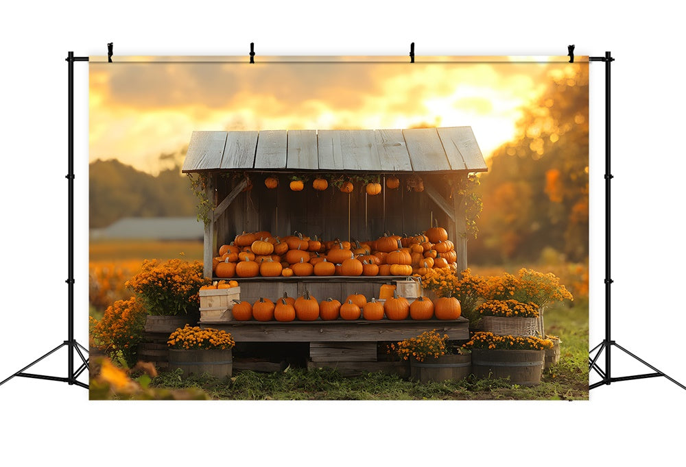 Herbst Sonnenuntergang Kürbis Blumen Holz Display Hintergrund RR9-40