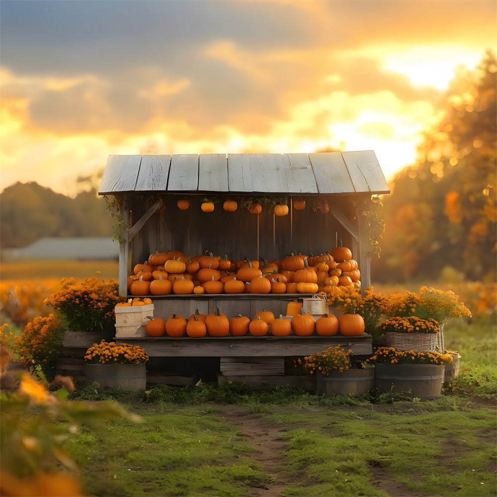Herbst Sonnenuntergang Kürbis Blumen Holz Display Hintergrund RR9-40