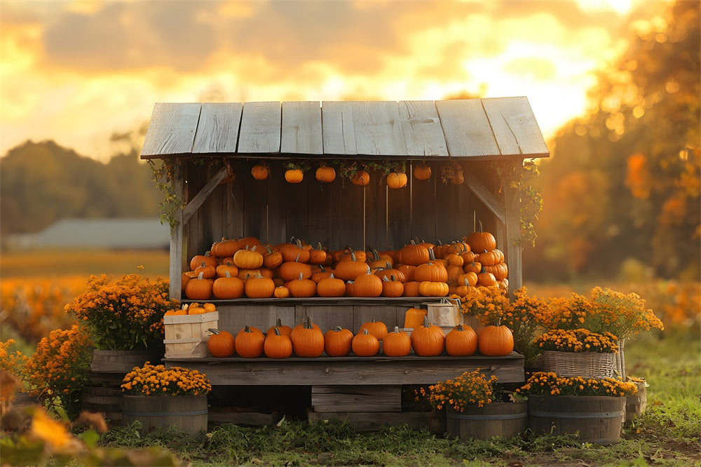 Herbst Sonnenuntergang Kürbis Blumen Holz Display Hintergrund RR9-40