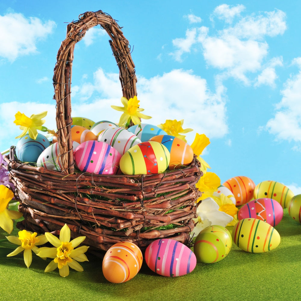 Ostern Backdrops für Fotos Frühlingsblüte Eierkorb Backdrop TWW3-26