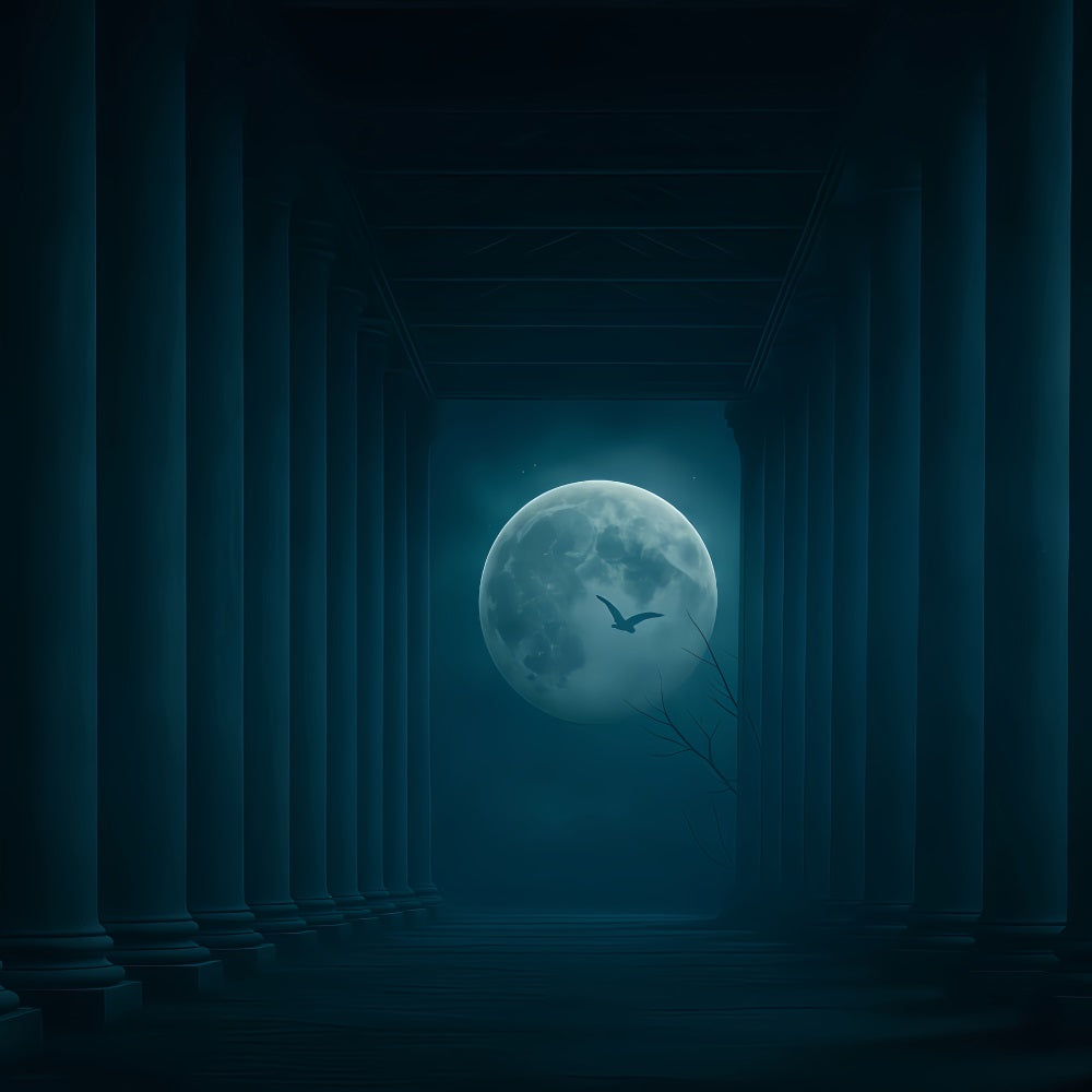 Halloween-Mond-Hintergrund Mondbeschienene Säulen Dunkler Korridor Halloween-Hintergrund TWW510-31