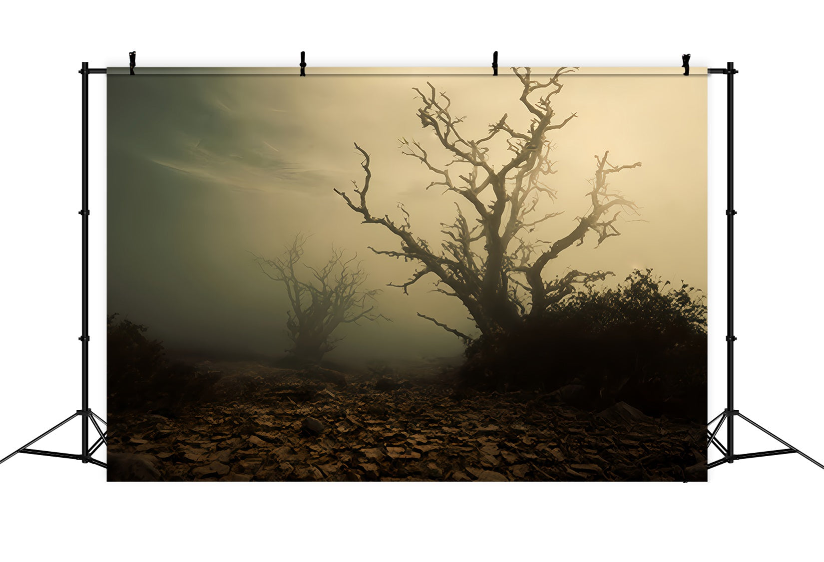 Spukwald-Hintergrund Nebliges Feld mit toten Bäumen Halloween-Hintergrund TWW510-41