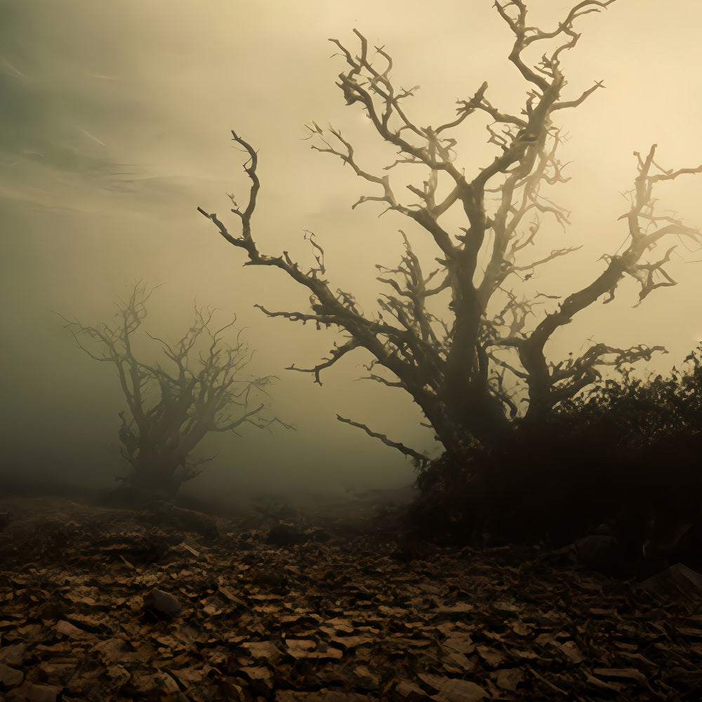 Spukwald-Hintergrund Nebliges Feld mit toten Bäumen Halloween-Hintergrund TWW510-41
