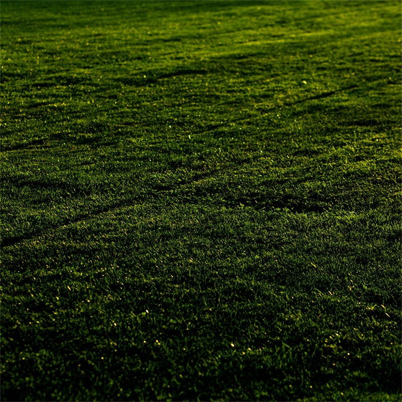 Floor Backdrops Sonnenuntergang Wiese Gras Floor Backdrop TWW57-1