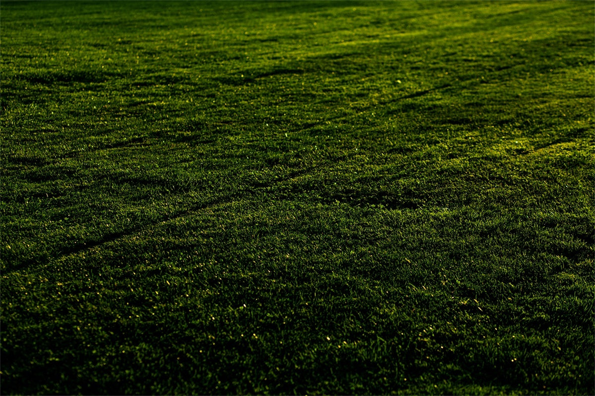 Floor Backdrops Sonnenuntergang Wiese Gras Floor Backdrop TWW57-1