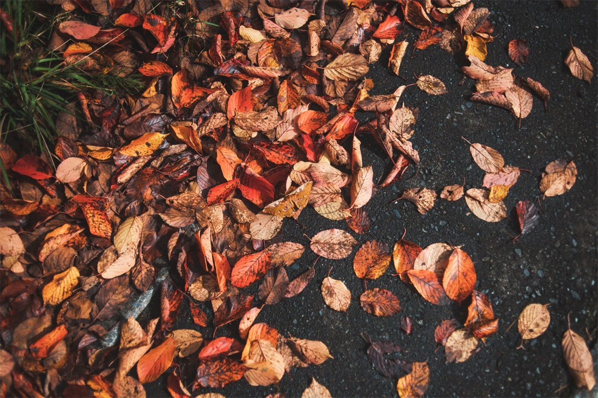 Fotografie Boden Backdrops Rustic Leaf Floor Backdrop TWW57-13