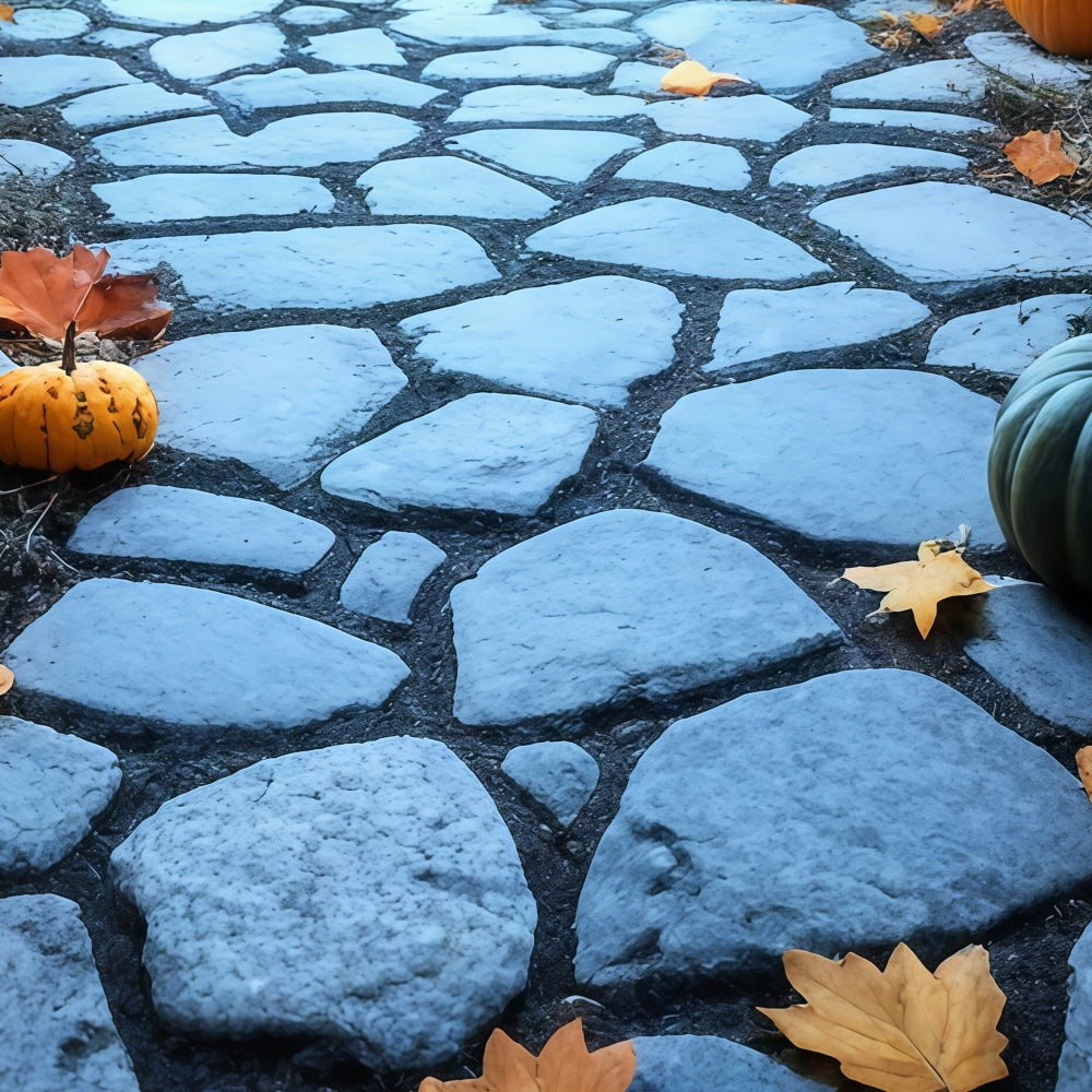 Backdrop Boden Dämmerung Kürbis Pfad Boden Backdrop TWW57-14