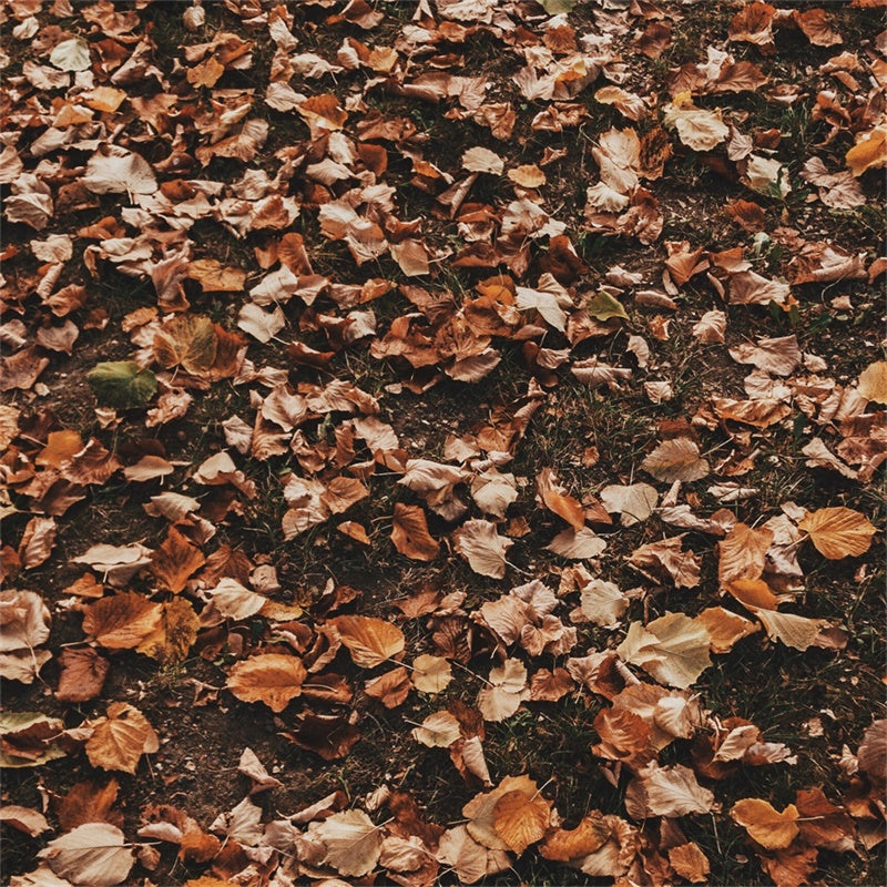 Backdrops Und Böden Woodland Dry Leaf Floor Backdrop TWW57-19