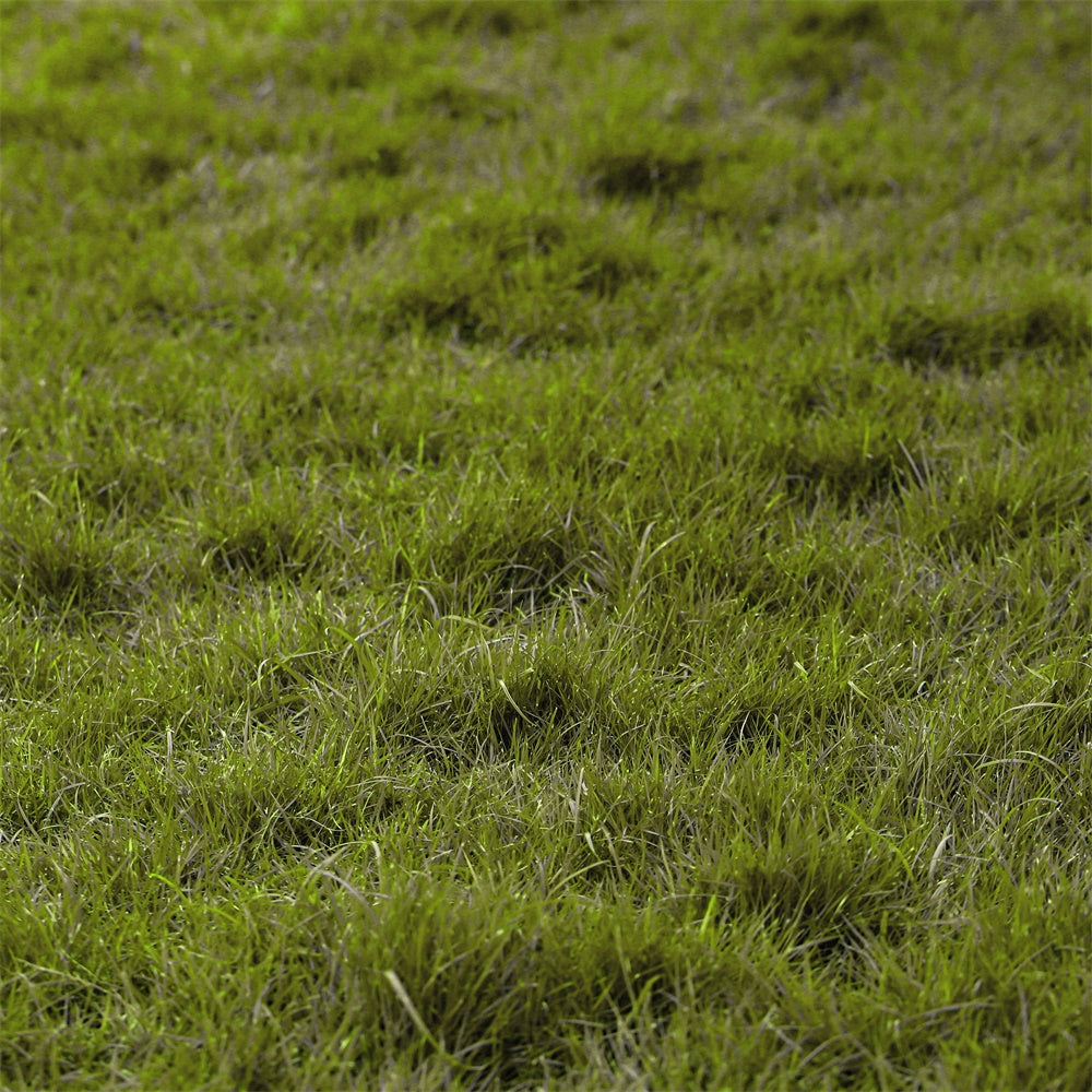 Boden Backdrop Fotografie Naturrasen Boden Backdrop TWW57-27