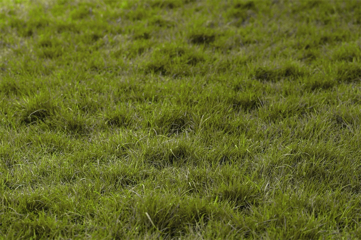 Boden Backdrop Fotografie Naturrasen Boden Backdrop TWW57-27