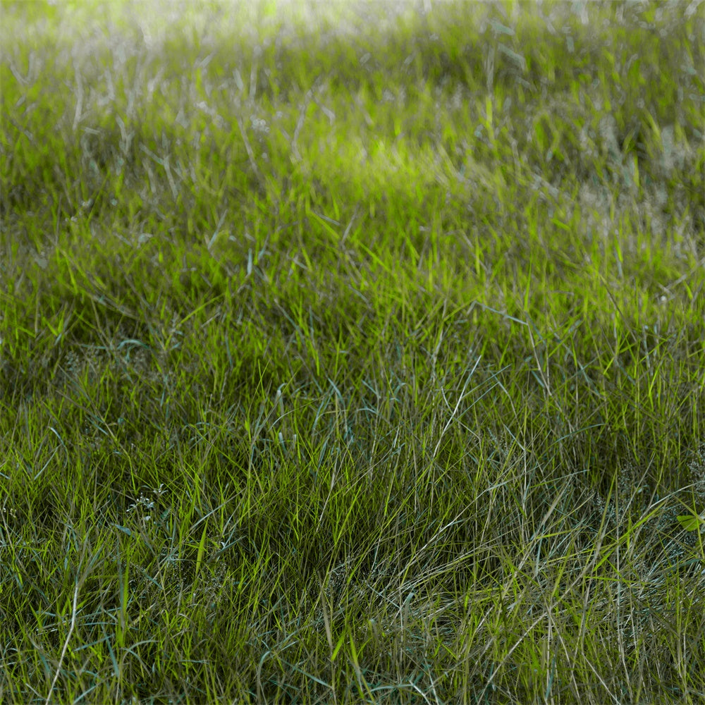 Floor Backdrops Morgenlicht Feld Floor Backdrop TWW57-30