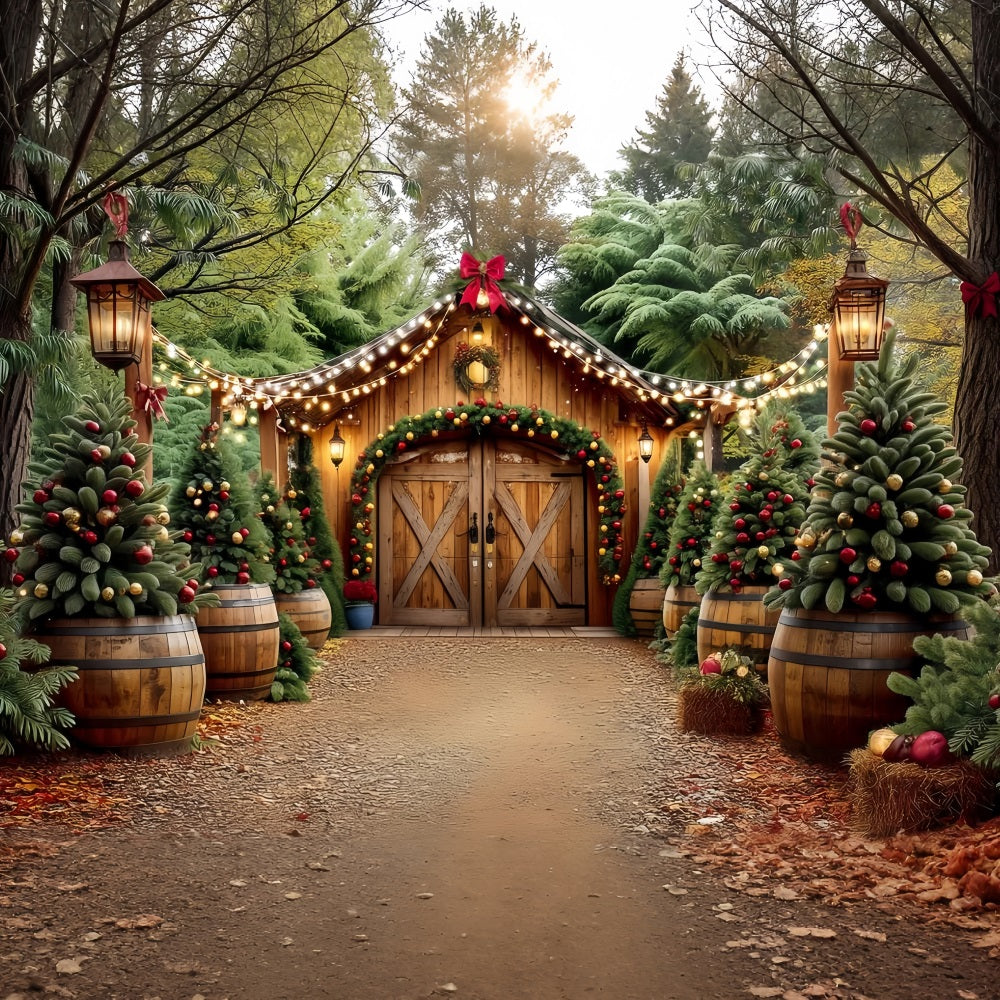 Weihnachtsbauernhof Fotohintergrund Rustikaler Scheuneneingang WeihnachtsFotohintergrund TWW59-117