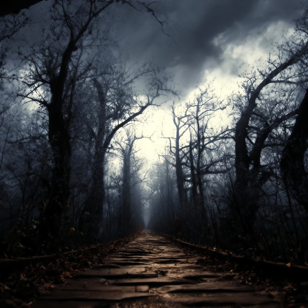 Gruseliger Wald-Fotohintergrund Dunkler, verwunschener Pfad Nebel Dunkler Wald-Fotohintergrund TWW59-159