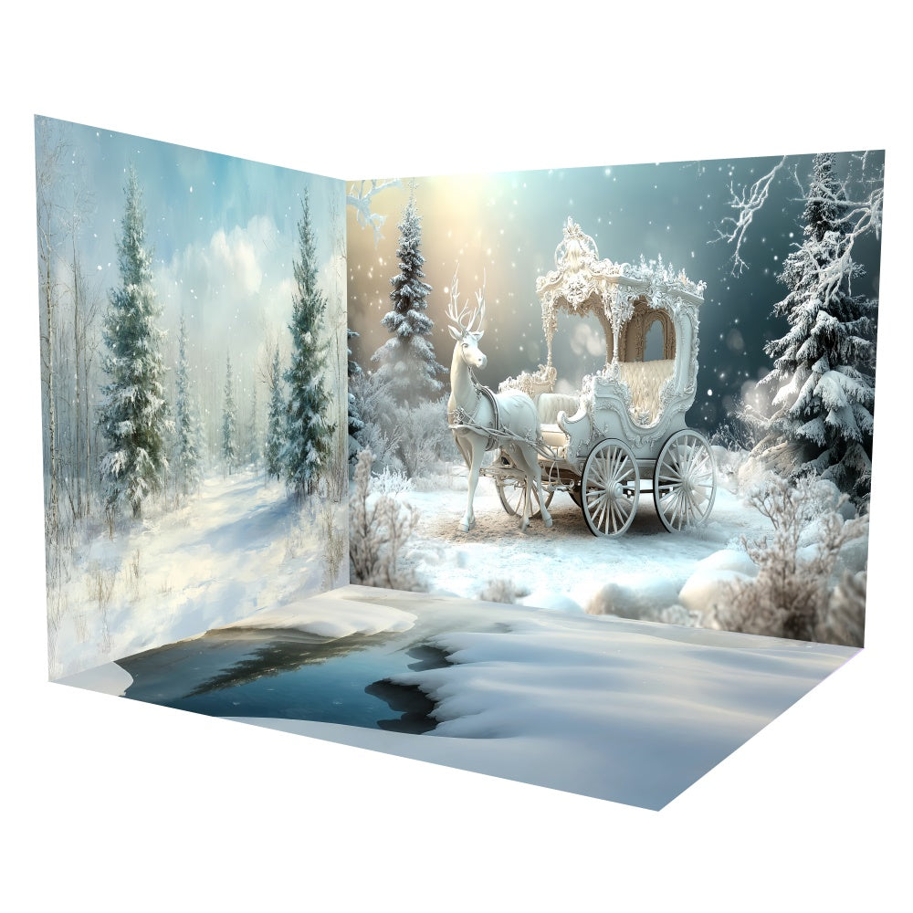 Weihnachtshintergrund für Fotos Schneekutsche Winterhintergrund Raumset TWW6-106