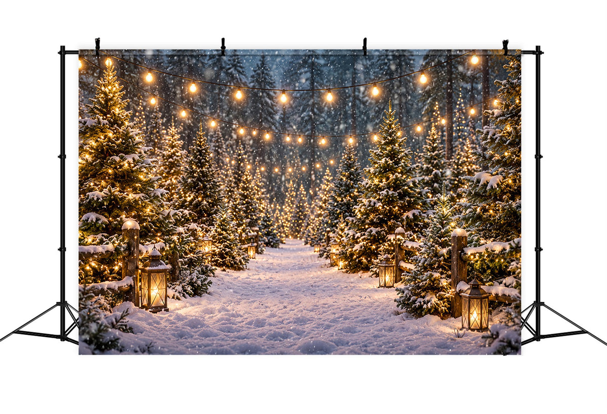 Weihnachtsbaumfarm-Hintergrund Verschneiter Laternenwaldweg ZTT610-16