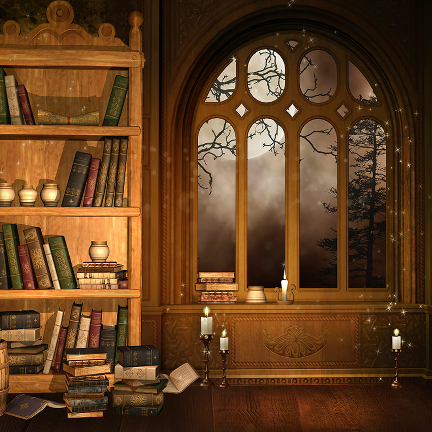 Wizard Library Bücherregal Fensterhintergrund D991