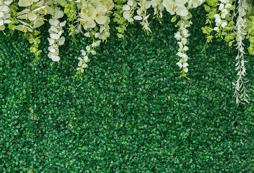 Blumenwand Hintergrund Grüner Hintergrund für Fotografie GX-1034