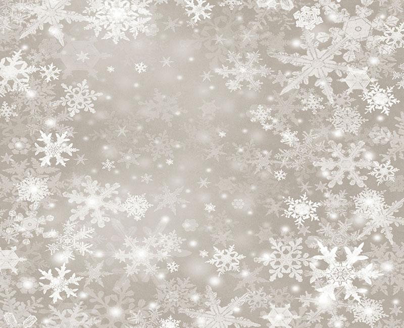 Snowflakes Winter Photography Backdrop for Photo Studio NB-149