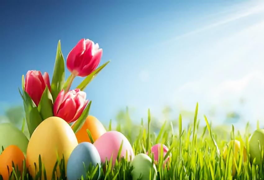 Spring Flowers Easter Eggs Green Grass Backdrop for Photo Shoot SH010