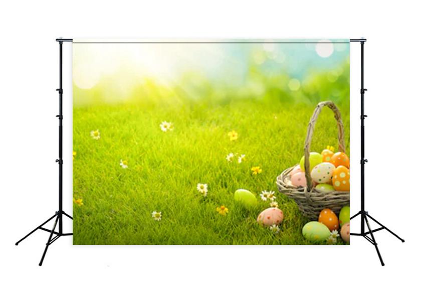 Easter Eggs  Green Grass  Photo  Studio Backdrop SH085