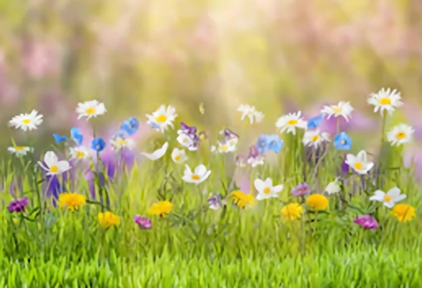 Spring Natural Scenic Easter Flowers Photography Backdrop SH202