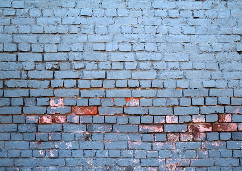 Photography Backdrop White Brick Wall Photoshoot Background SH681