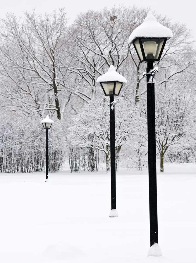 Winter Street Lamp Snowy Forest Trees Photography Backdrop for Studio