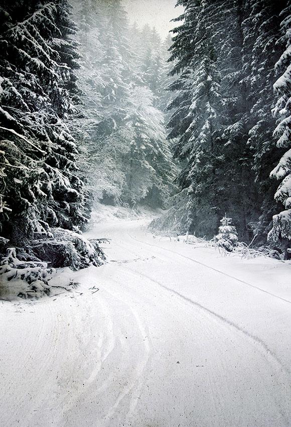 Weihnachtsbaum Winter Schneestraße Foto Hintergrund LV-873